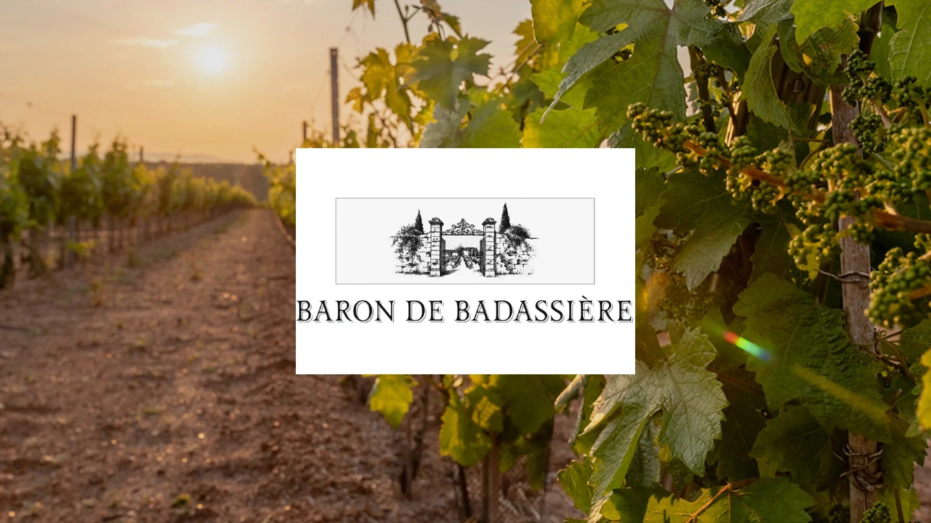 Baron de Badassière Wines