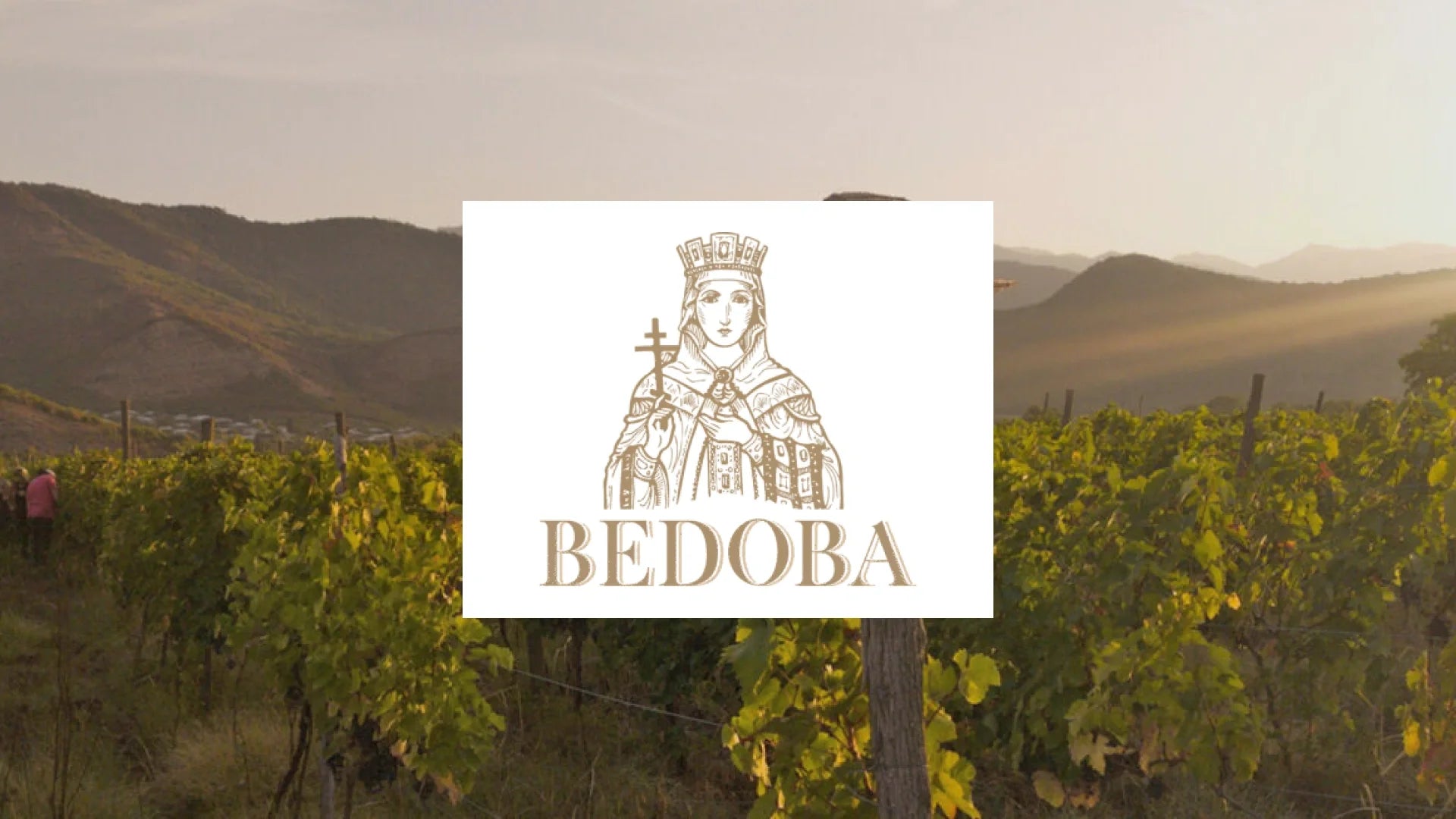 Bedoba Wines