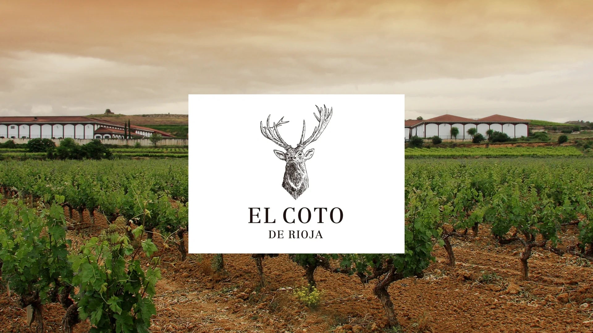 El Coto Wines