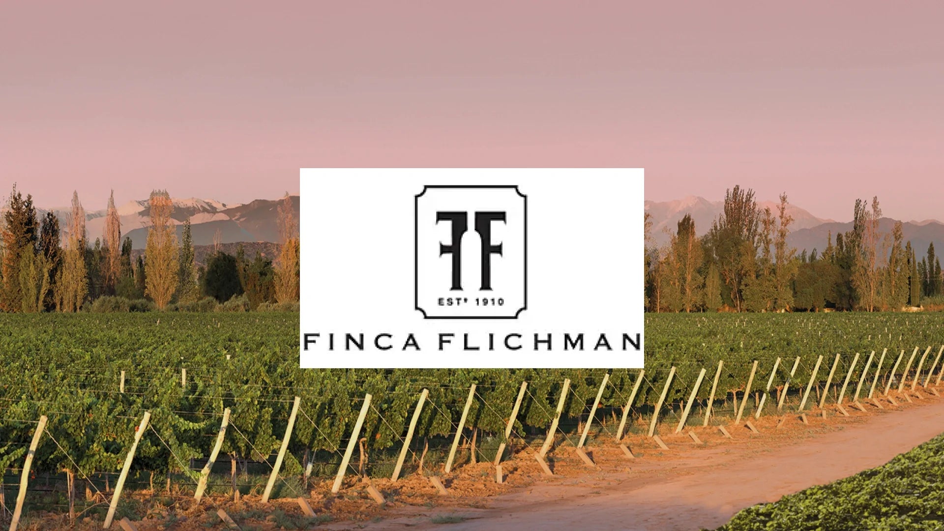Finca Flichman Wines