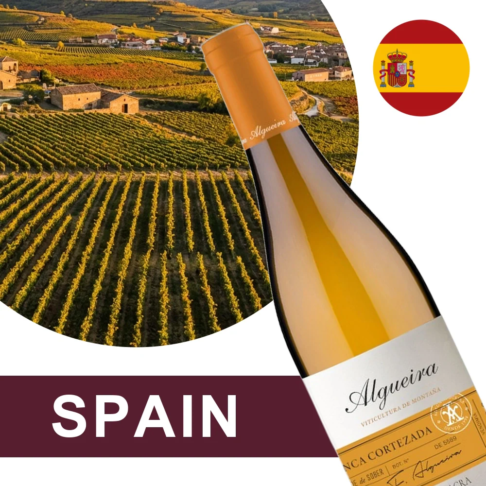 Spain Wine Collection