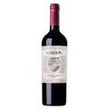 Bodega Garzón Cabernet Franc Reserva