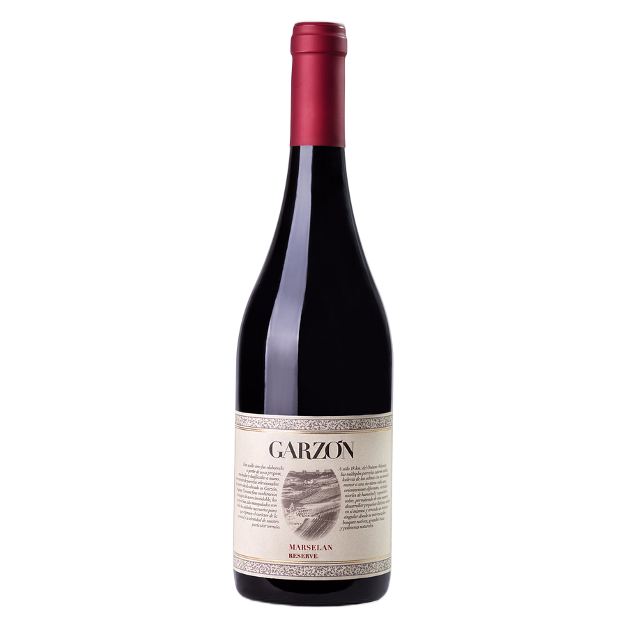 Bodega Garzón Marselan Reserve