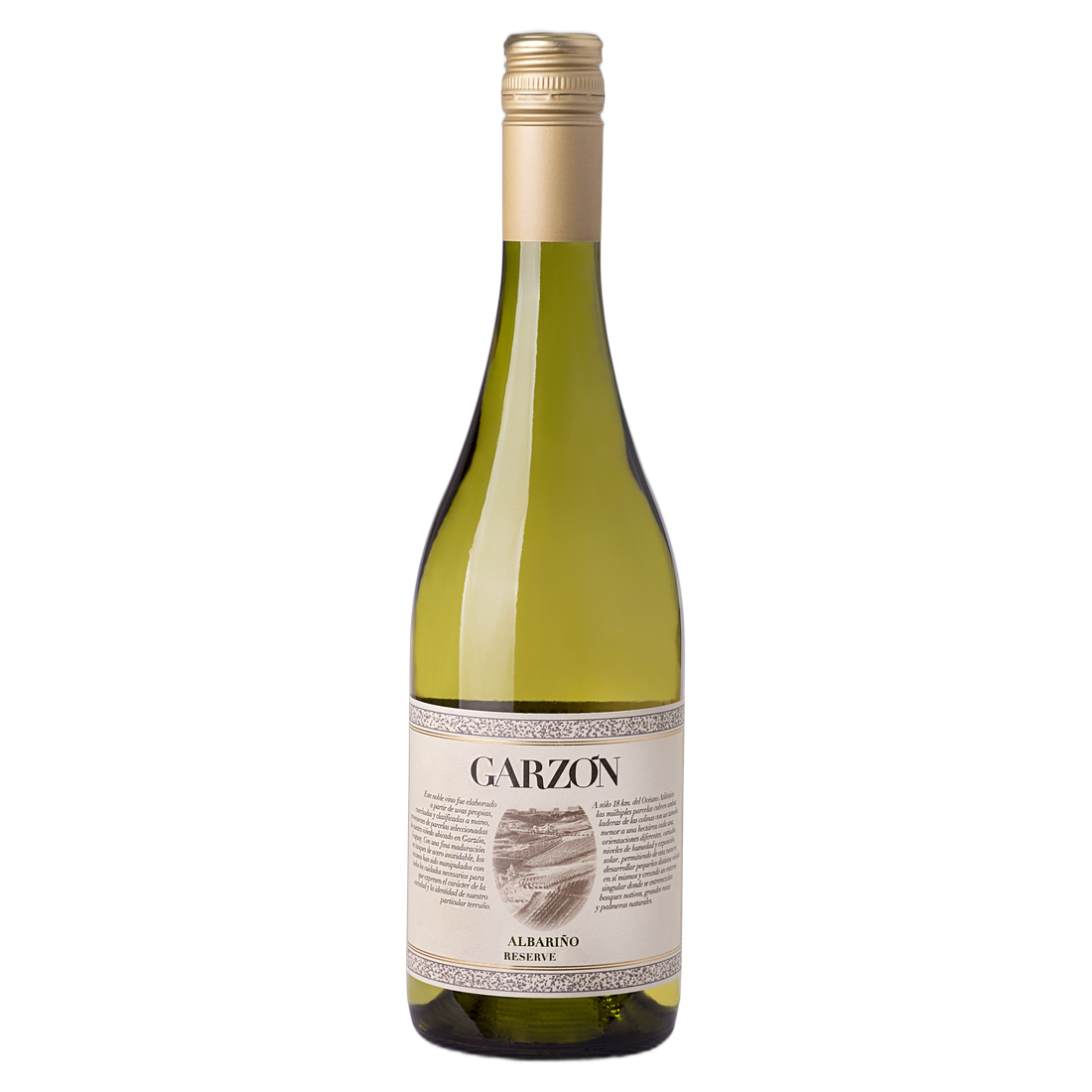 Bodega Garzón Albariño Reserve