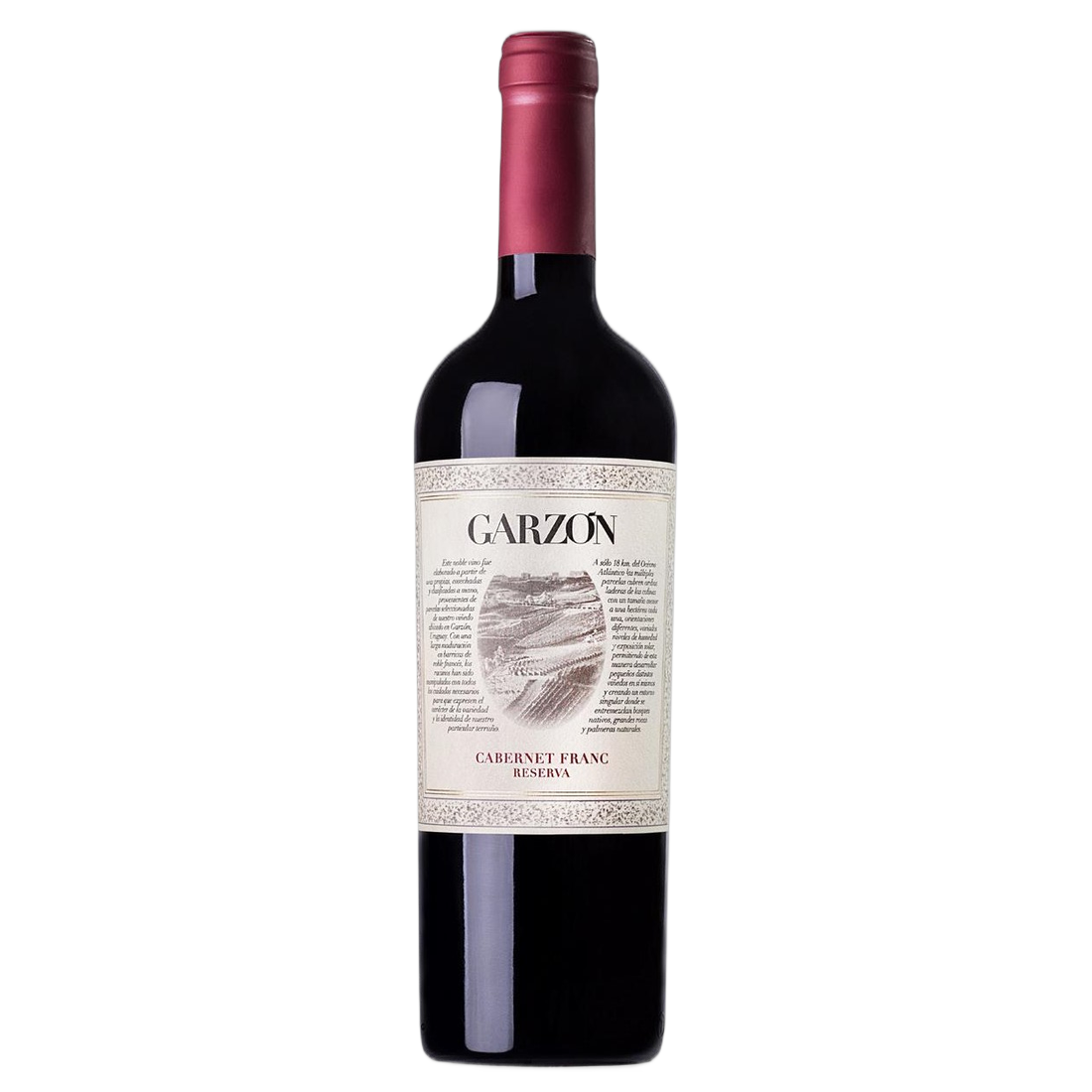Bodega Garzón Cabernet Franc Reserva
