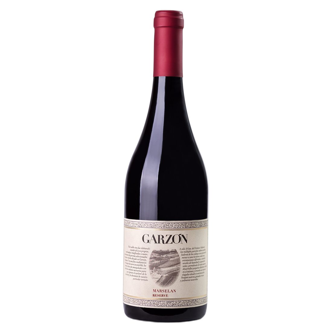 Bodega Garzón Marselan Reserve