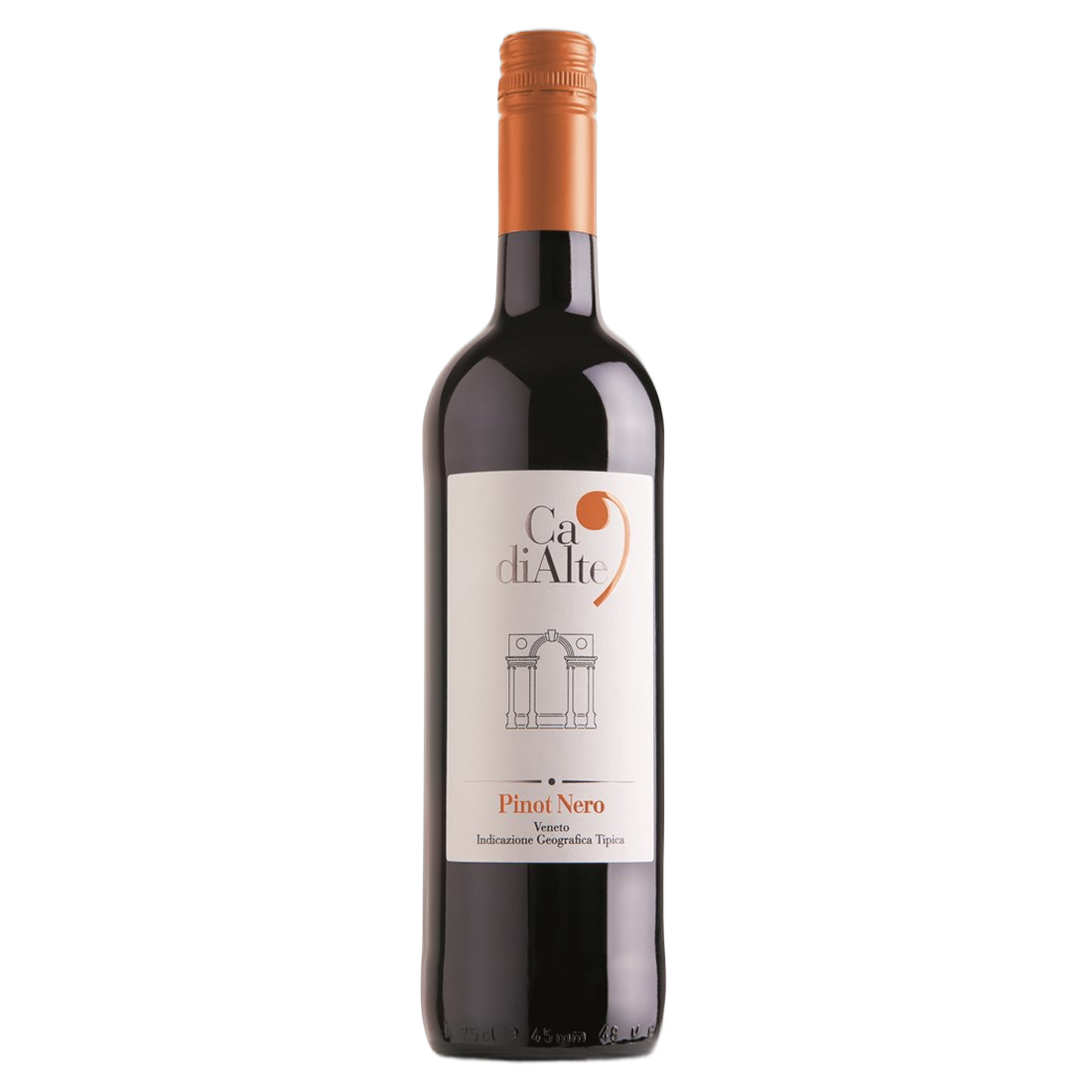 Ca' di Alte Pinot Nero