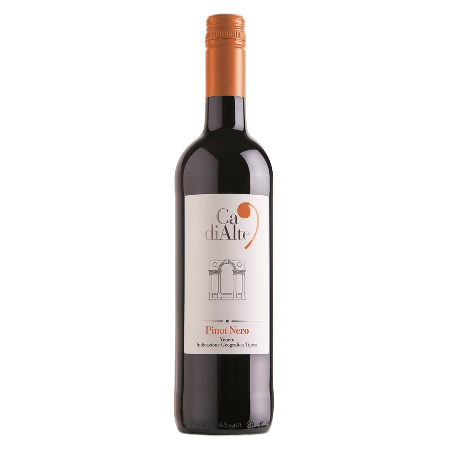 Ca' di Alte Pinot Nero