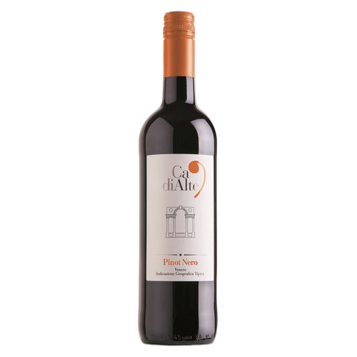 Ca' di Alte Pinot Nero