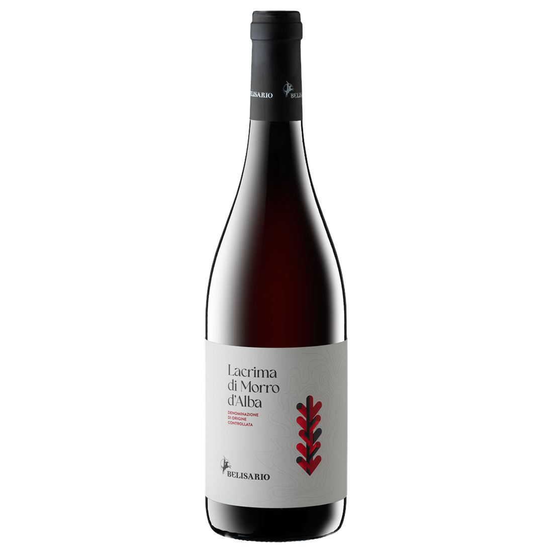 Cantine Belisario Lacrima di Morro d'Alba