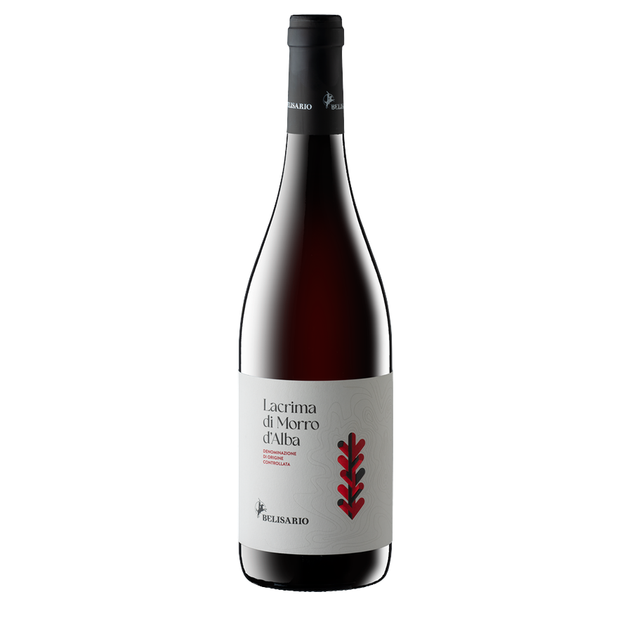 Cantine Belisario Lacrima di Morro d'Alba