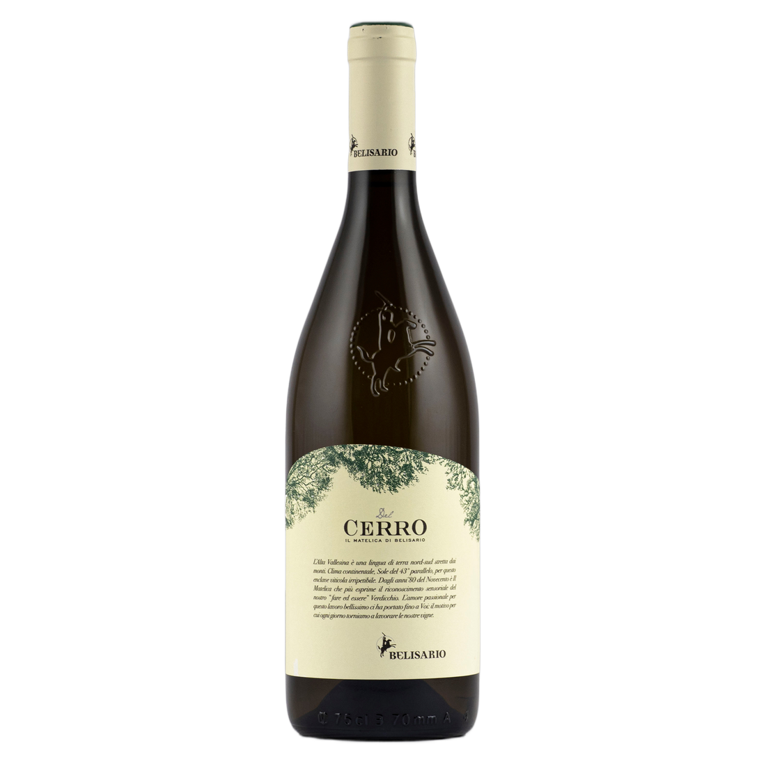 Cantine Belisario Vigneti del Cerro