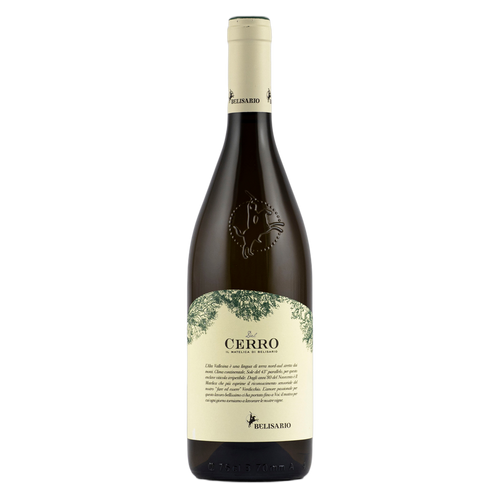 Cantine Belisario Vigneti del Cerro