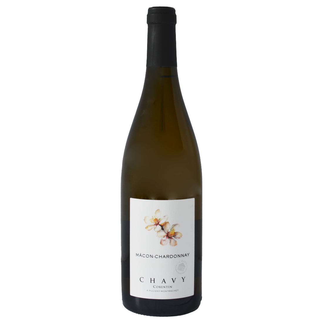 Corentin Chavy Mâcon-Chardonnay