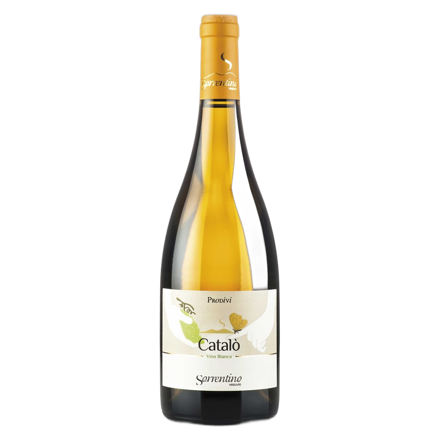 Sorrentino Catalò